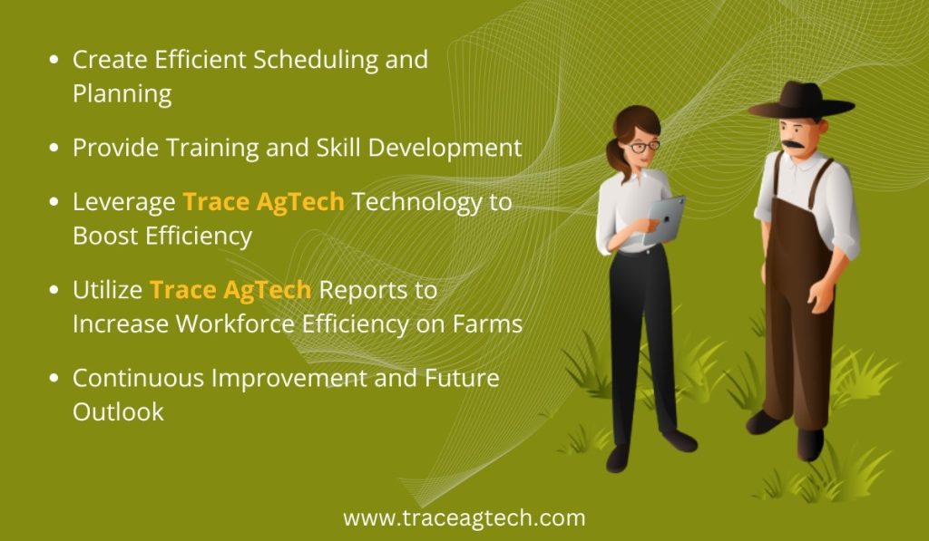 How Trace AgTech Is Modernizing Indian Agriculture