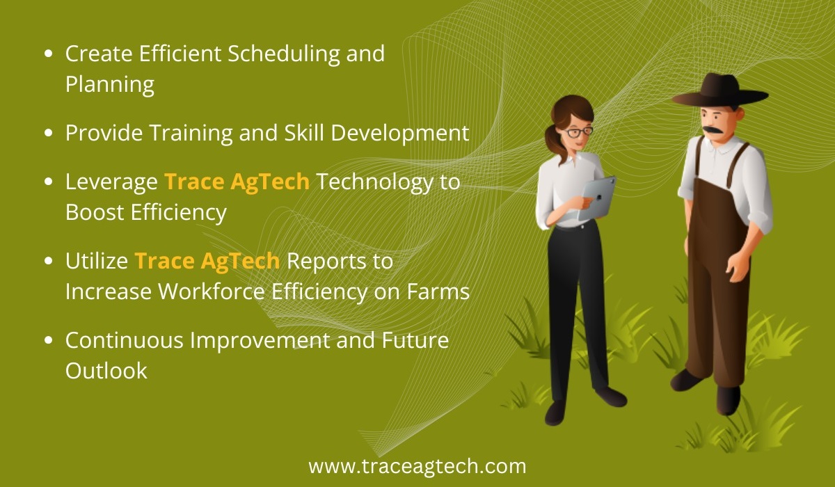 How Trace AgTech Is Modernizing Indian Agriculture